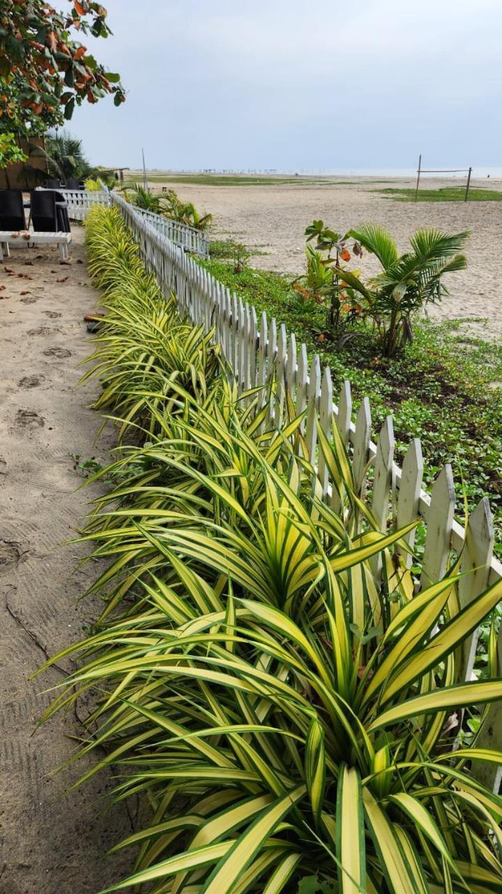 Palm Beach Resort, Alleppey Alappuzha Esterno foto